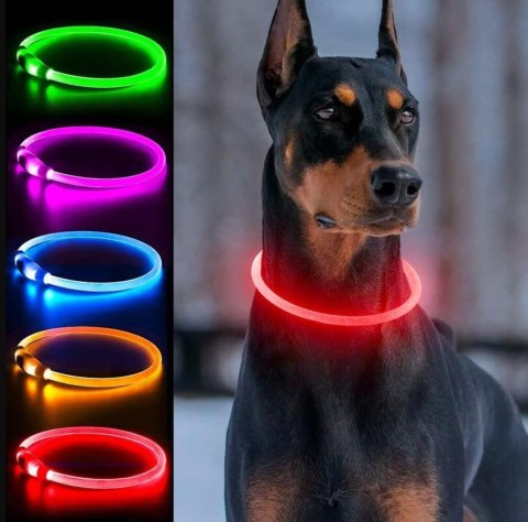 DA269A Obroża świecąca led reg. rgb