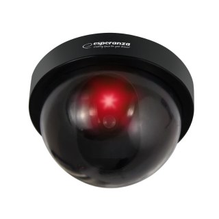 ECA101 Esperanza atrapa kamery monitoringu ghost