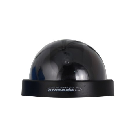 ECA101 Esperanza atrapa kamery monitoringu ghost