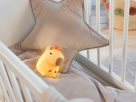 Lampka nocna Tracer Capybara