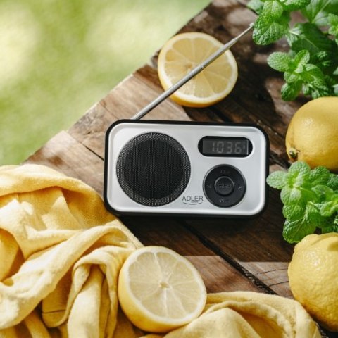 AD 1906 Radio cyfrowe - pll am/fm