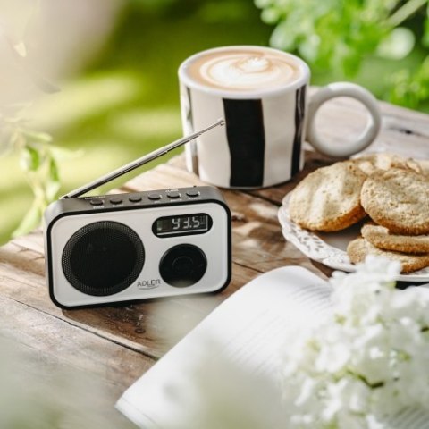 AD 1906 Radio cyfrowe - pll am/fm