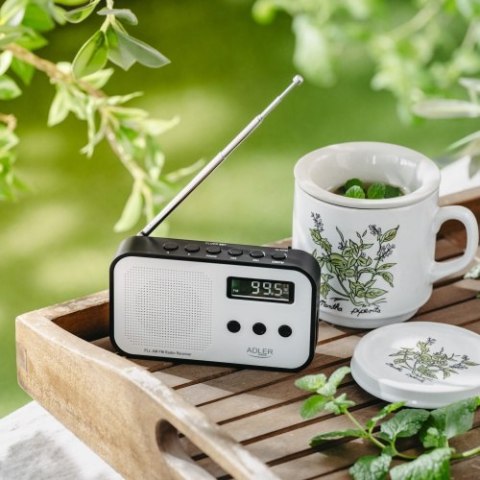 AD 1907 Radio cyfrowe pll am / fm