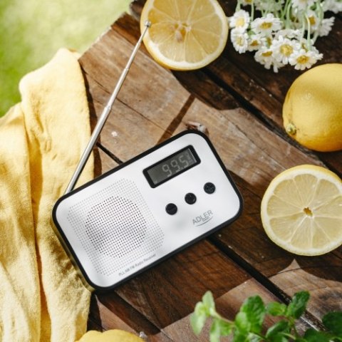 AD 1907 Radio cyfrowe pll am / fm