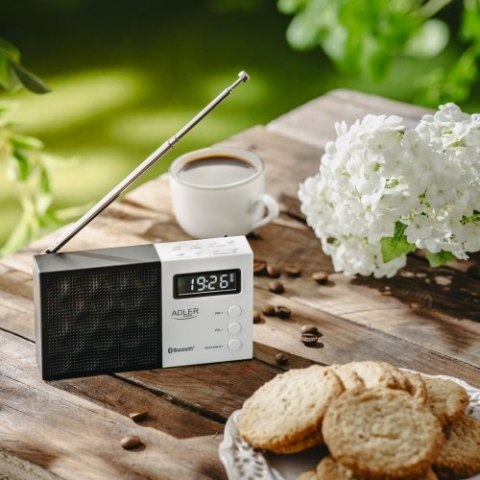 AD 1908 Radio cyfrowe pll am/fm