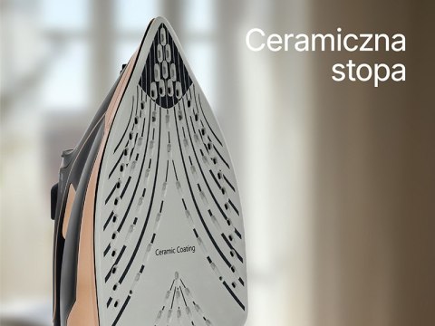 Żelazko parowe LAFE VaporMax 3000W
