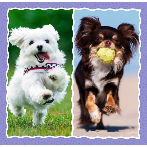 Puzzle - 3w1 - Urocze pieski - Trefl 34854