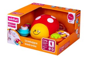 Biedronka dogonię cię biedroneczko