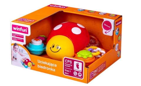 Biedronka dogonię cię biedroneczko