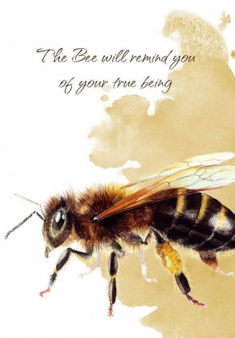 Karty tarot power animal cards