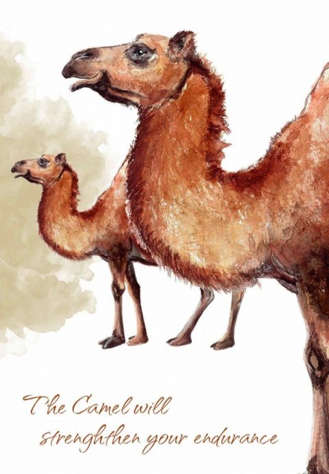 Karty tarot power animal cards