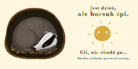 Książeczka rok w lesie. borsuk