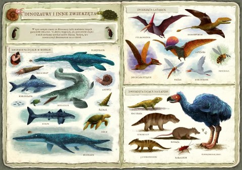 Książeczka opowiem ci, mamo, co robią dinozaury