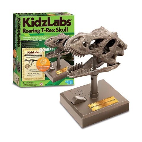 Zestaw edukacyjny rycząca czaszka t-rex