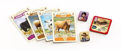 Gra great western trail: argentyna