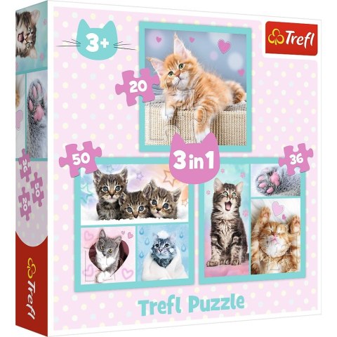 Puzzle 3w1 słodkie zwierzaki kotki