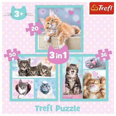 Puzzle 3w1 słodkie zwierzaki kotki