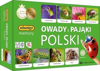 Gra owady i pająki polski memory
