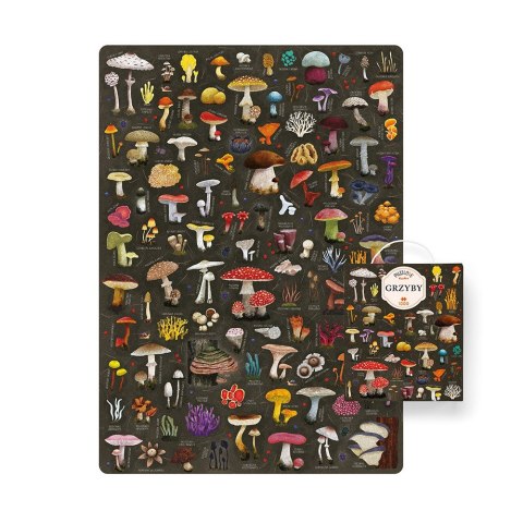 Puzzle puzzlove grzyby 1000 elementów