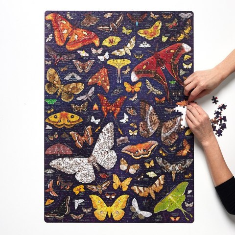 Puzzle 1000 elementów puzzlove Ćmy