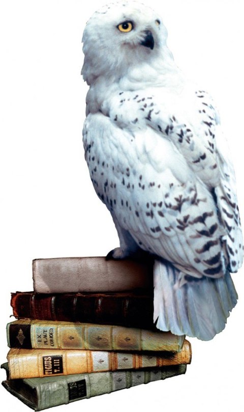 Gra harry potter i czytacz myśli