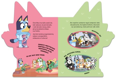 Książeczka poznaj bluey książeczki kartonowe