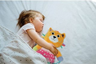Maskotka moja przyjaciółka kicia