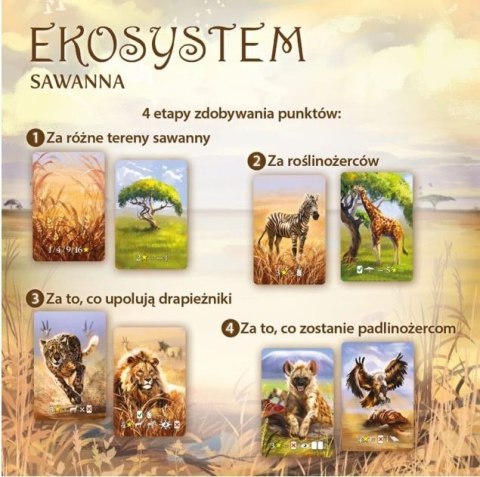 Gra ekosystem 3 - sawanna