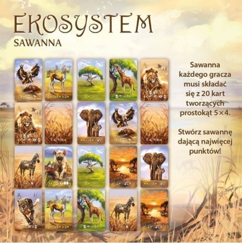 Gra ekosystem 3 - sawanna