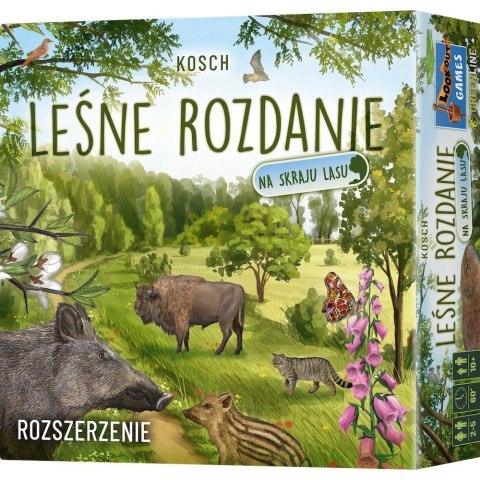 Gra leśne rozdanie: na skraju lasu