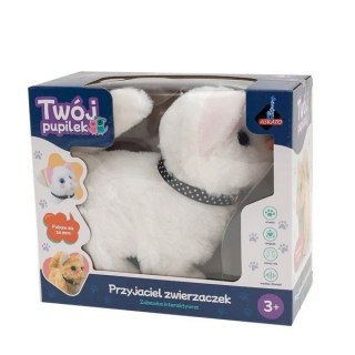 Maskotka interaktywna twój pupilek - kotek biały