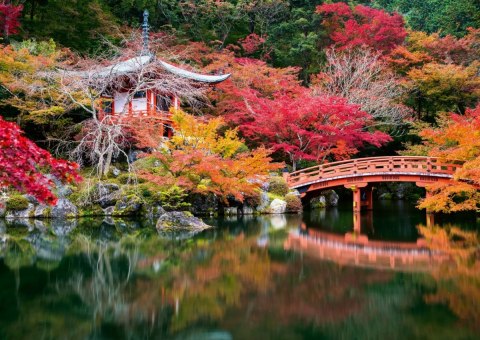 Puzzle 1000 elementów ogród dai go-ji kyoto japonia
