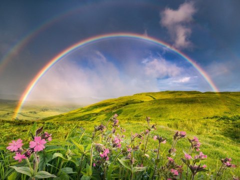 Puzzle 1500 elementów tęcza nad łąka