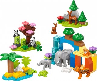 Klocki duplo 10446 rodziny dzikich zwierząt 3 w 1