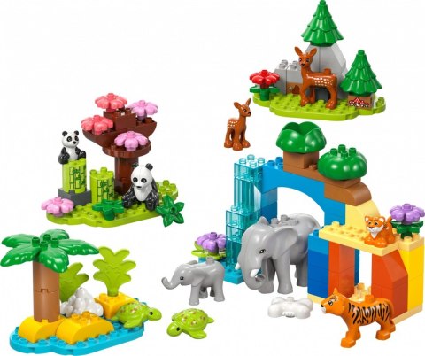 Klocki duplo 10446 rodziny dzikich zwierząt 3 w 1