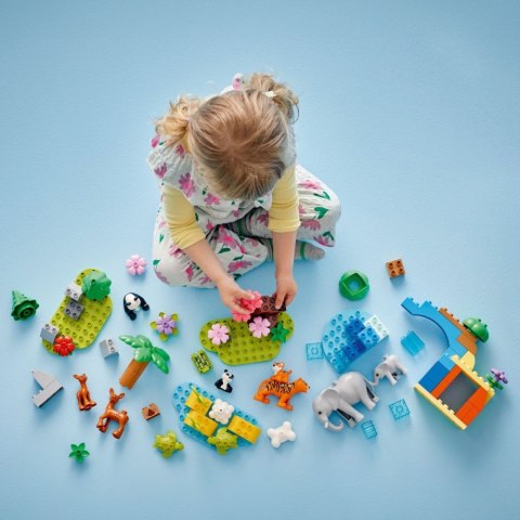 Klocki duplo 10446 rodziny dzikich zwierząt 3 w 1