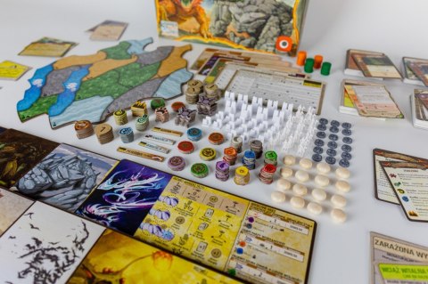 Gra spirit island: rozdarta ziemia