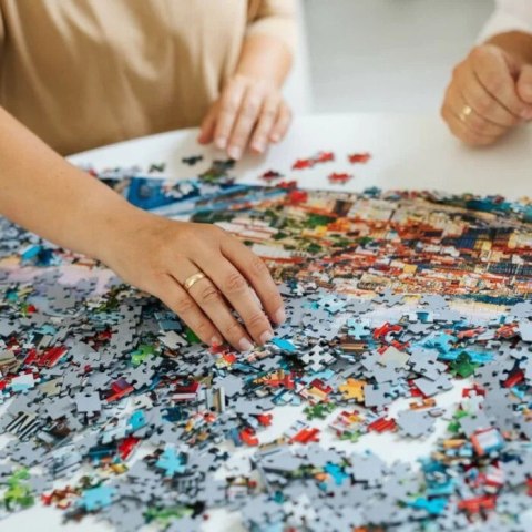 Puzzle 1000 elementów 40-lecie paper art dolina