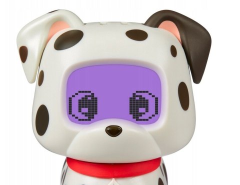 Pixel petz, dalmatyńczyk