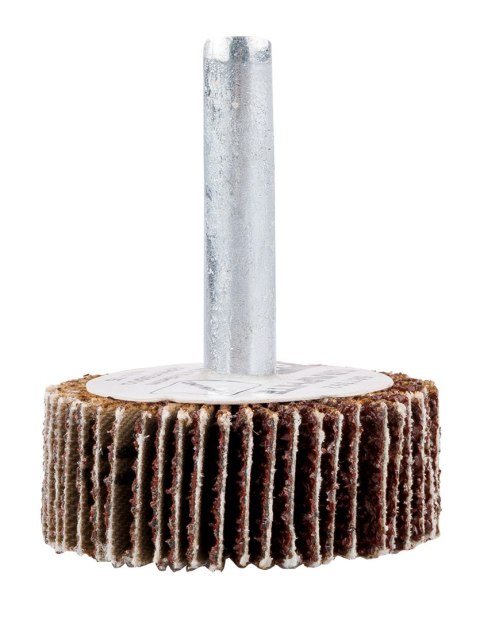 Ściernica listkowa trzpieniowa 30 x 15 x 6 mm, P120