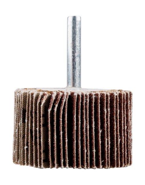 Ściernica listkowa trzpieniowa 50 x 30 x 6 mm, P40