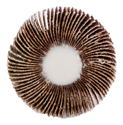 Ściernica listkowa trzpieniowa 60 x 15 x 6 mm, P60