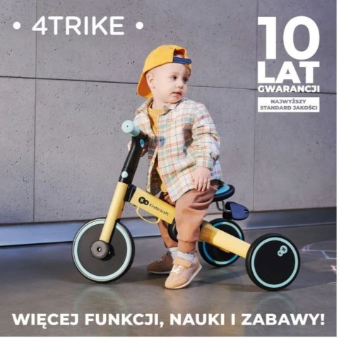 Rowerek trójkołowy 4trike silver grey
