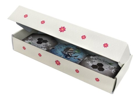 Gra takenoko