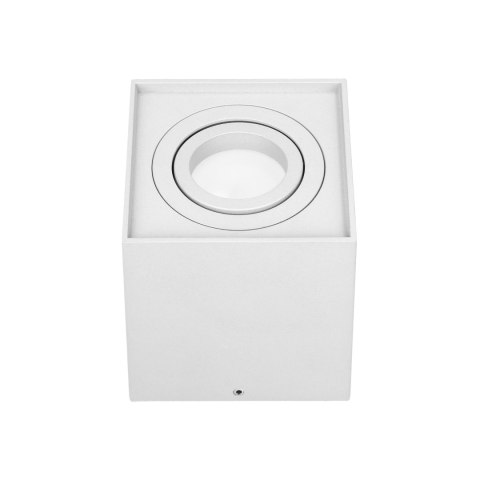 CAROLIN DLS GU10 downlight max 35W, IP20, kwadrat, biały