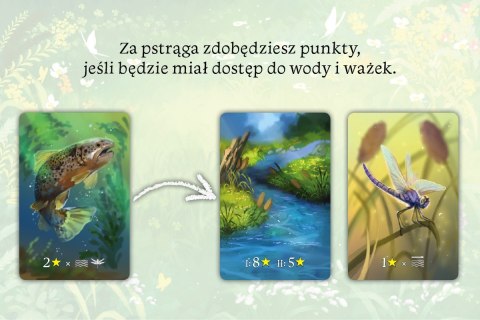 Gra ekosystem