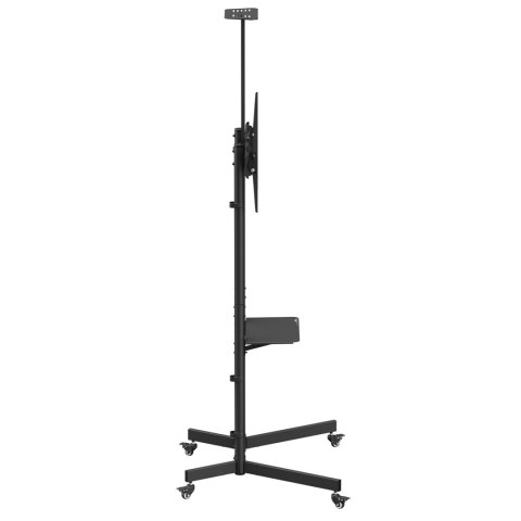 Stand / wózek do TV Maclean, półka na kamerę, na kółkach, 37-70", max. obciążenie 45kg/5kg półka, max. VESA 600x400, MC-113 B