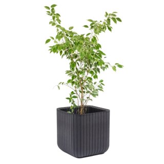 Doniczka Keter Cube Wood Planter S antracyt