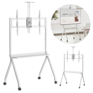 Stand / wózek do TV Maclean, półka na kamerę, na kółkach, 55-100", max. obciążenie 120kg/10kg półka, max. VESA 900x600, biały, M