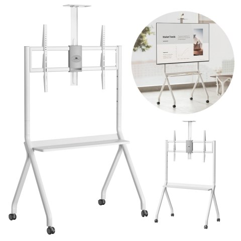 Stand / wózek do TV Maclean, półka na kamerę, na kółkach, 55-100", max. obciążenie 120kg/10kg półka, max. VESA 900x600, biały, M